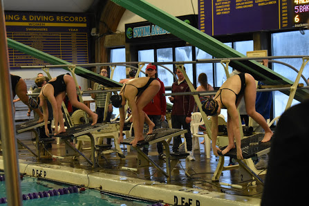 Swim/dive team finishes season undefeated