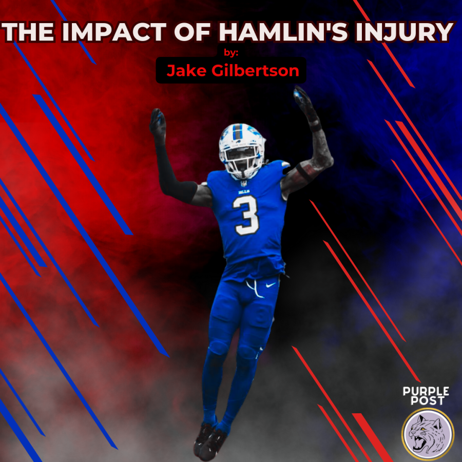 The+Impact+of+Hamlins+Injury